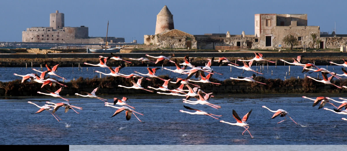 Sicildriver - Taxi Trapani Airport